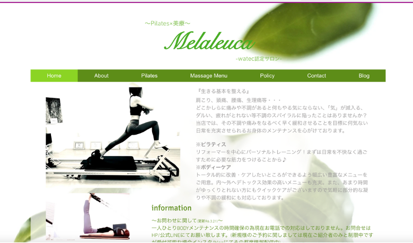 Melaleuca